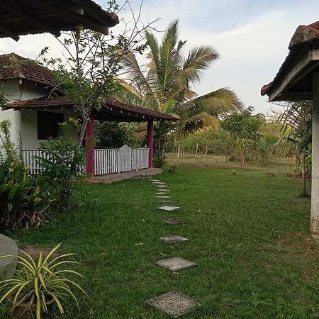 Sunshine Cafe Apartment Tangalle Exterior photo