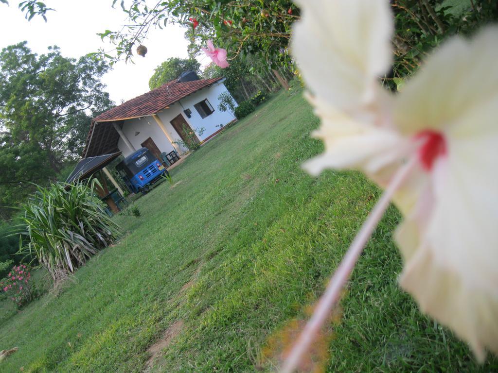 Sunshine Cafe Apartment Tangalle Exterior photo