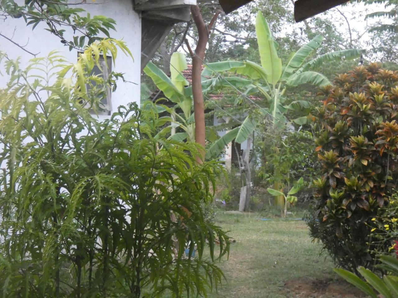 Sunshine Cafe Apartment Tangalle Exterior photo