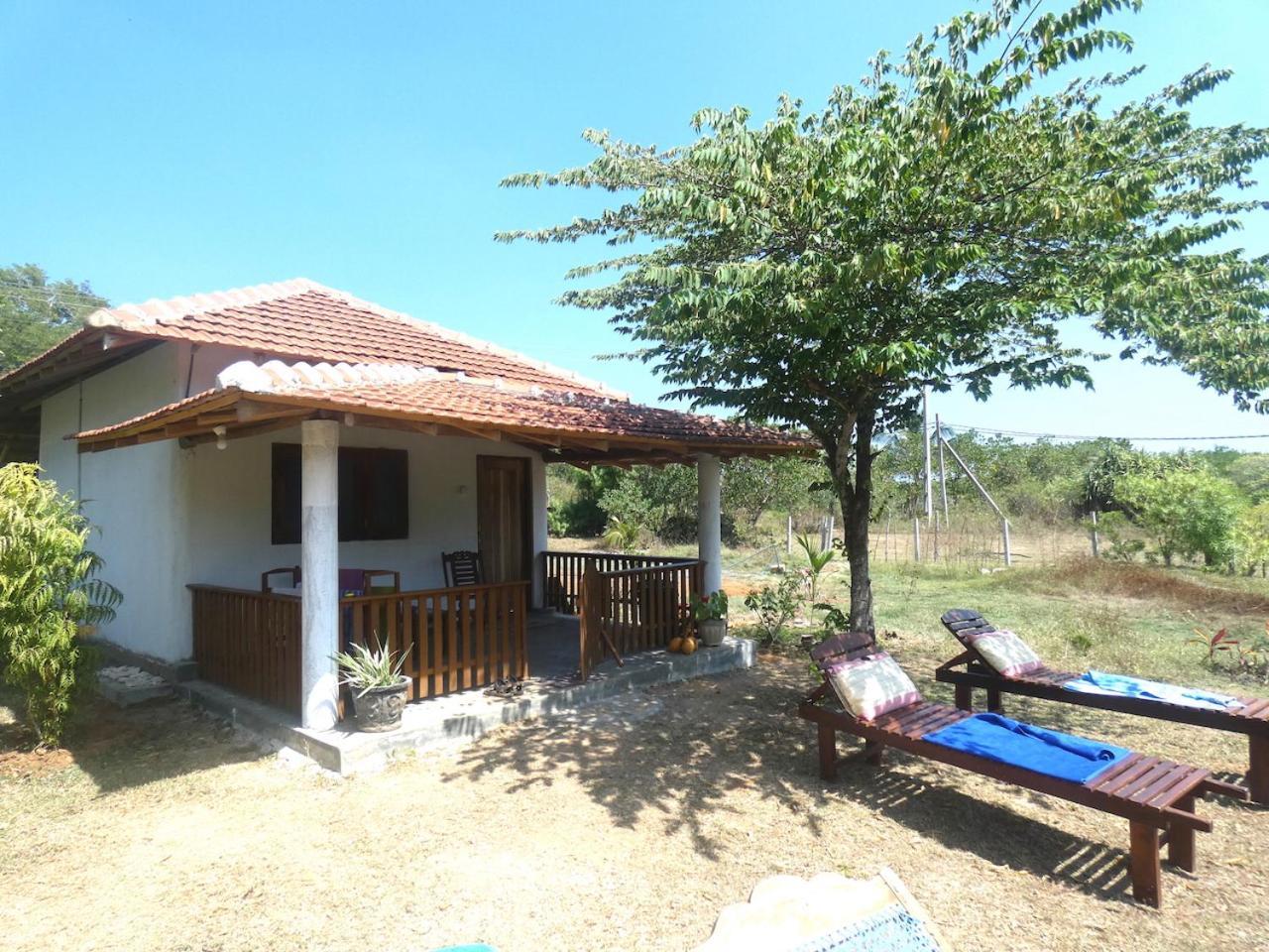 Sunshine Cafe Apartment Tangalle Exterior photo